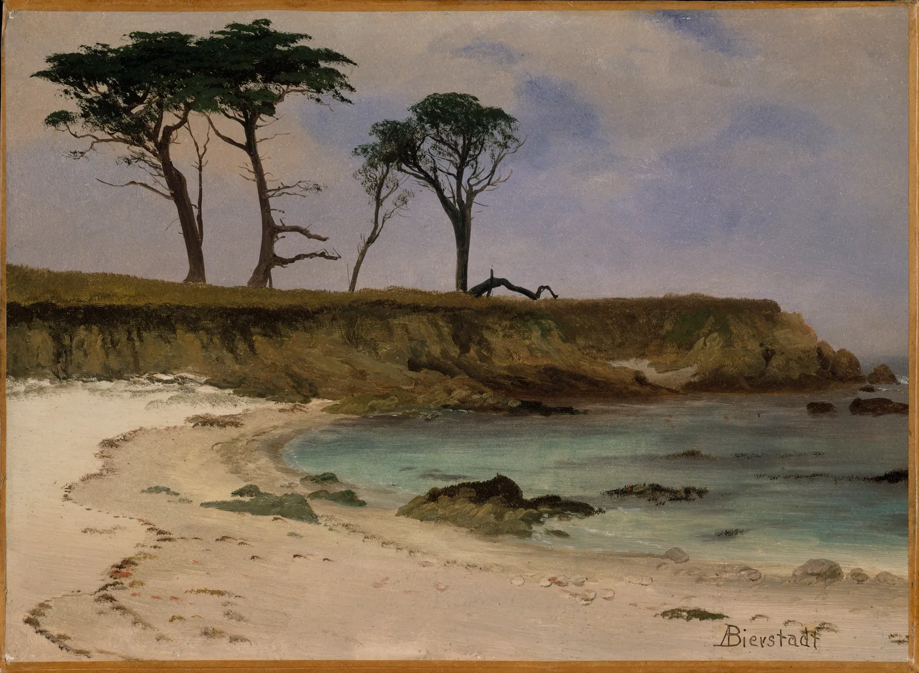 Cala marina, de Albert Bierstadt