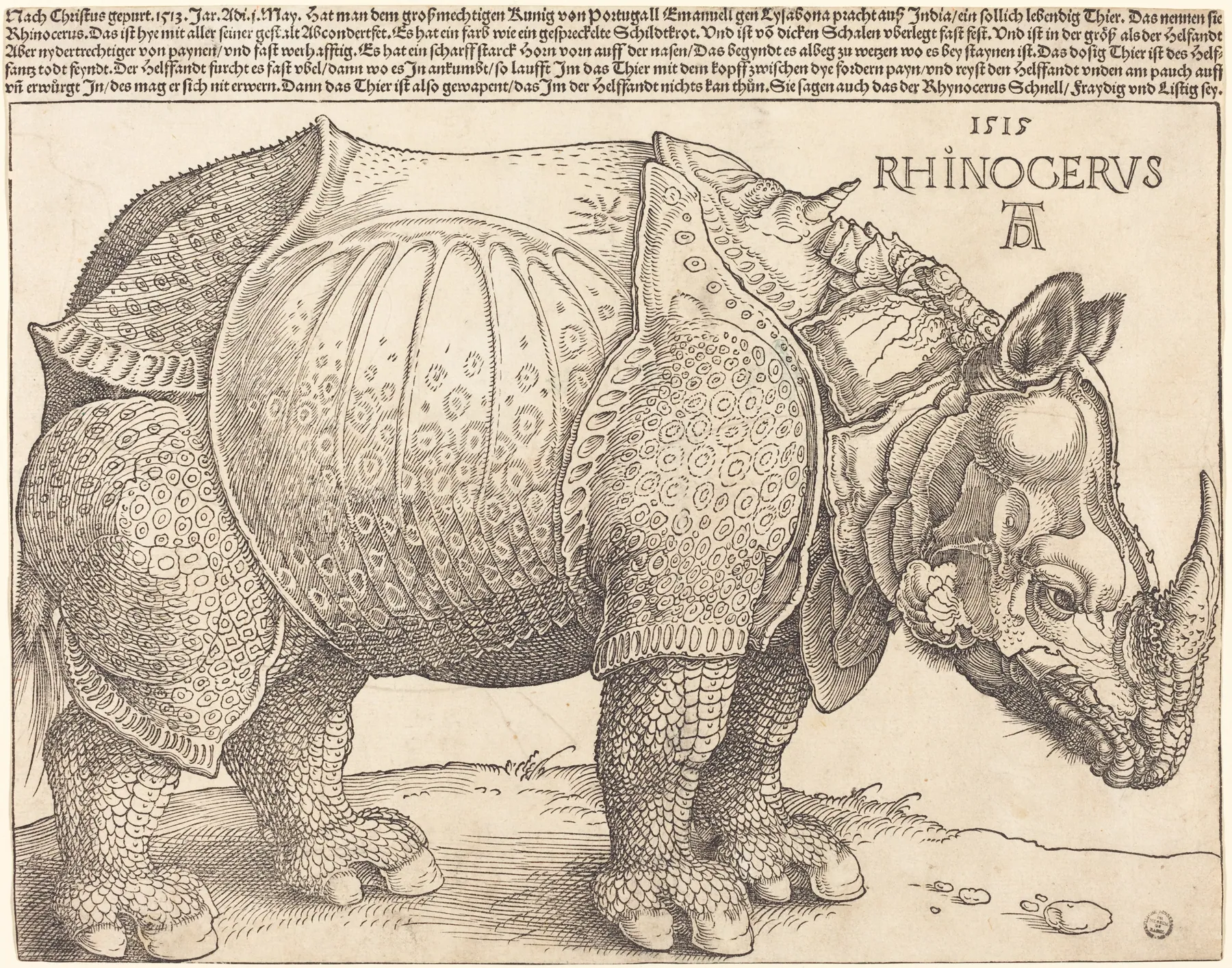 Rinoceronte, de Alberto Durero