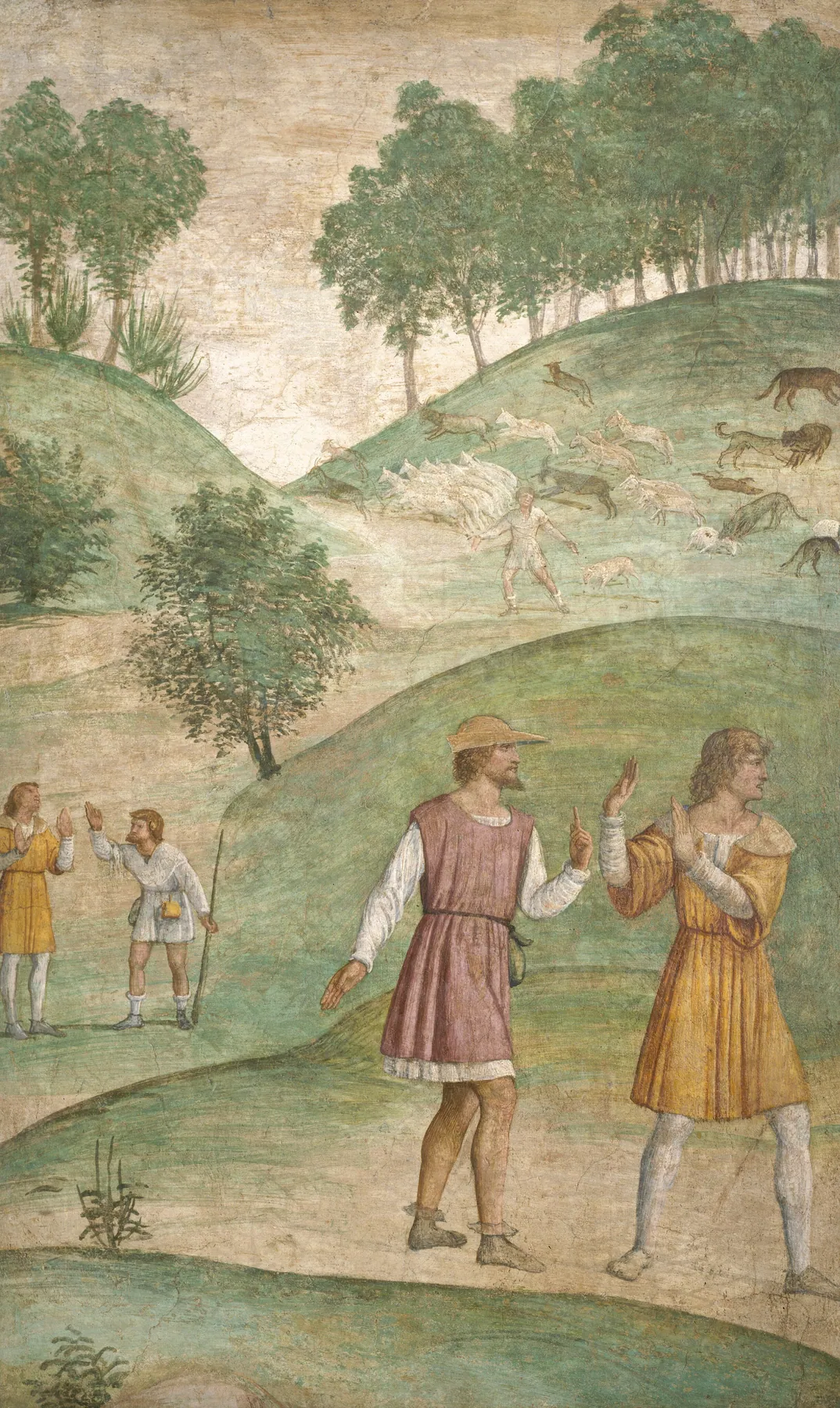Las desgracias de Céfalo, de Bernardino Luini