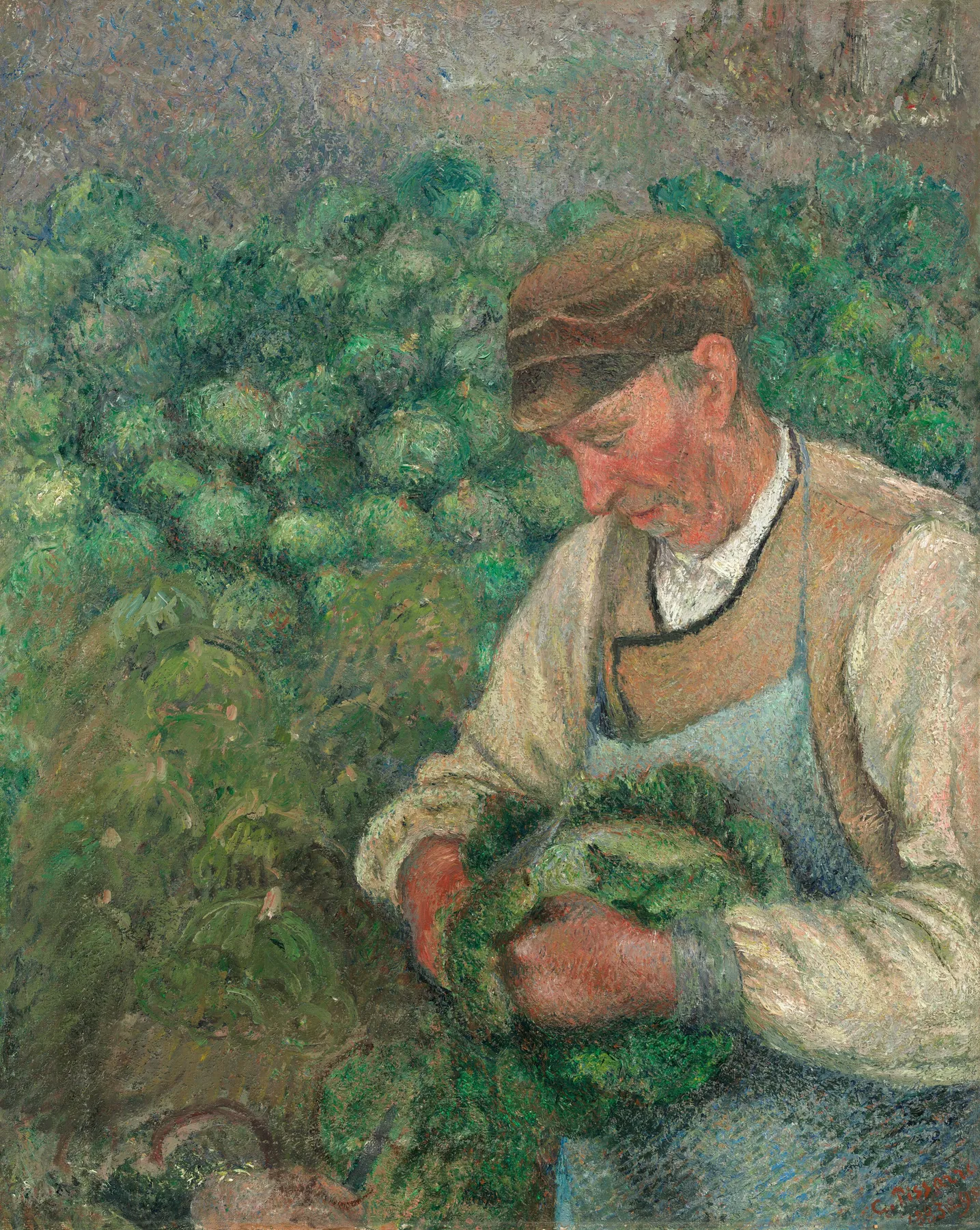 El jardinero - Viejo campesino con col, de Camille Pissarro