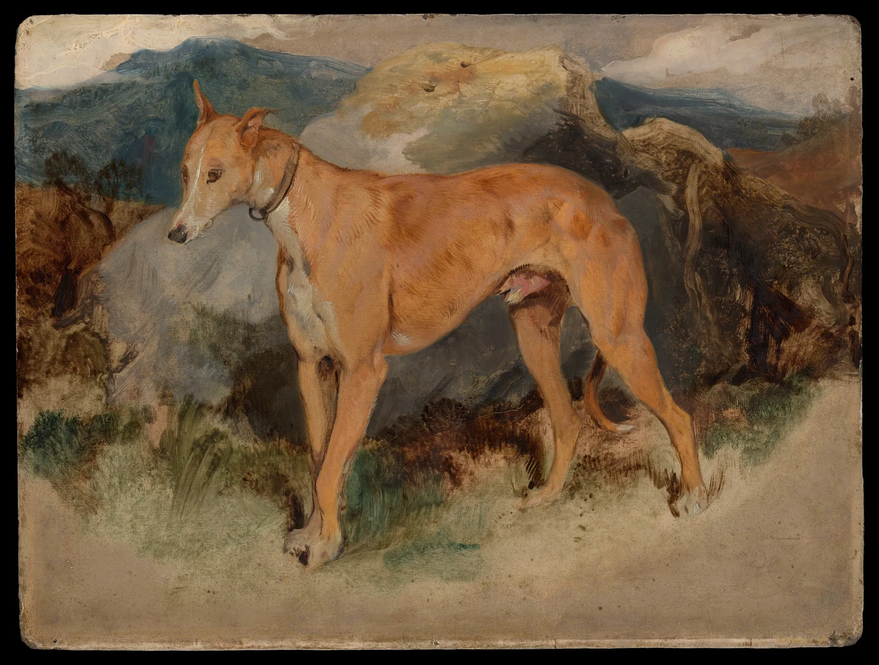 Un lebrel escocés, de Edwin Landseer