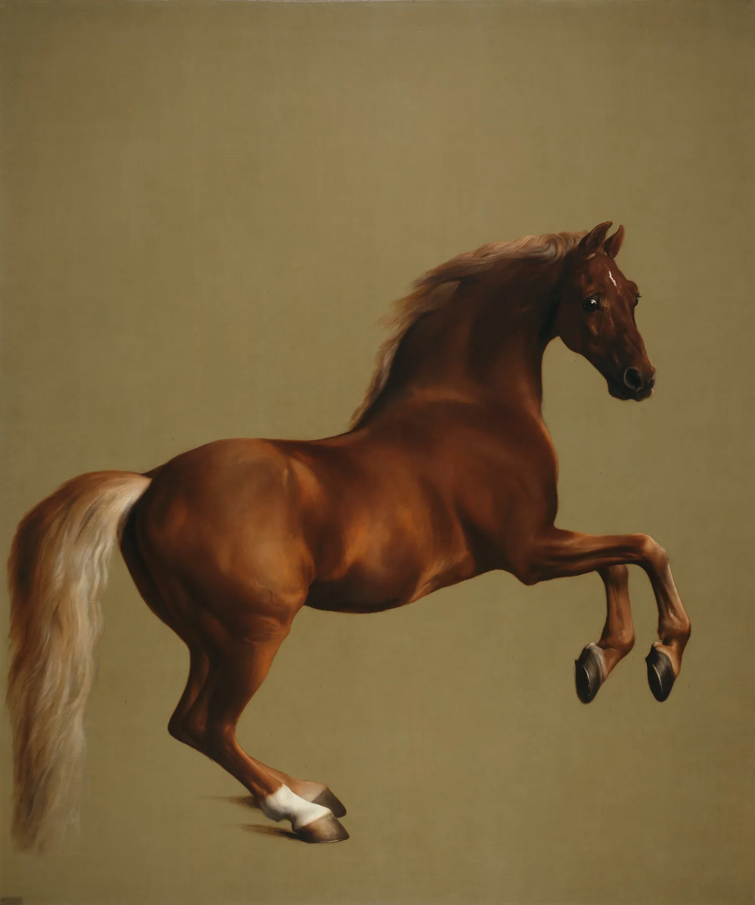 Whistlejacket, de George Stubbs