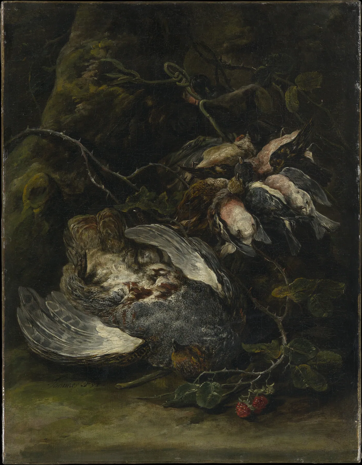 Una perdiz y pequeñas aves de caza, de Jan Fyt