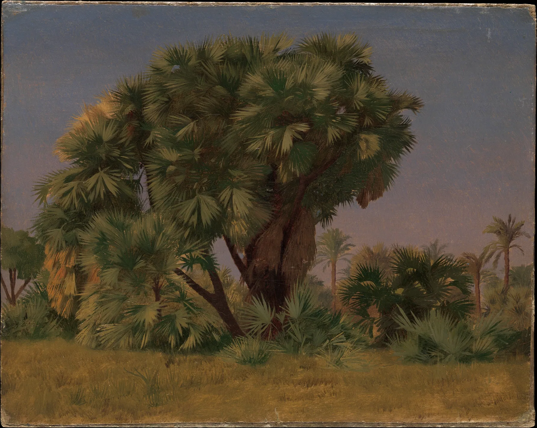 Estudio de palmeras, de Jean-Léon Gérôme