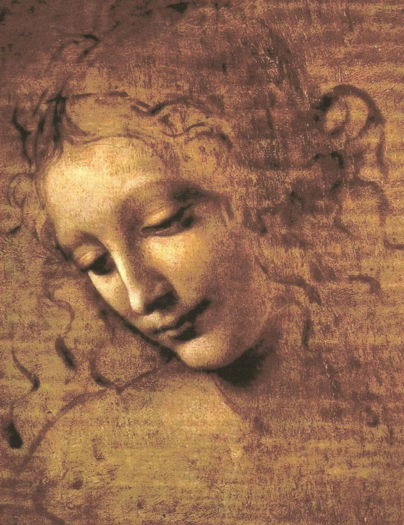 Cabeza de mujer o La scapigliata, de Leonardo da Vinci