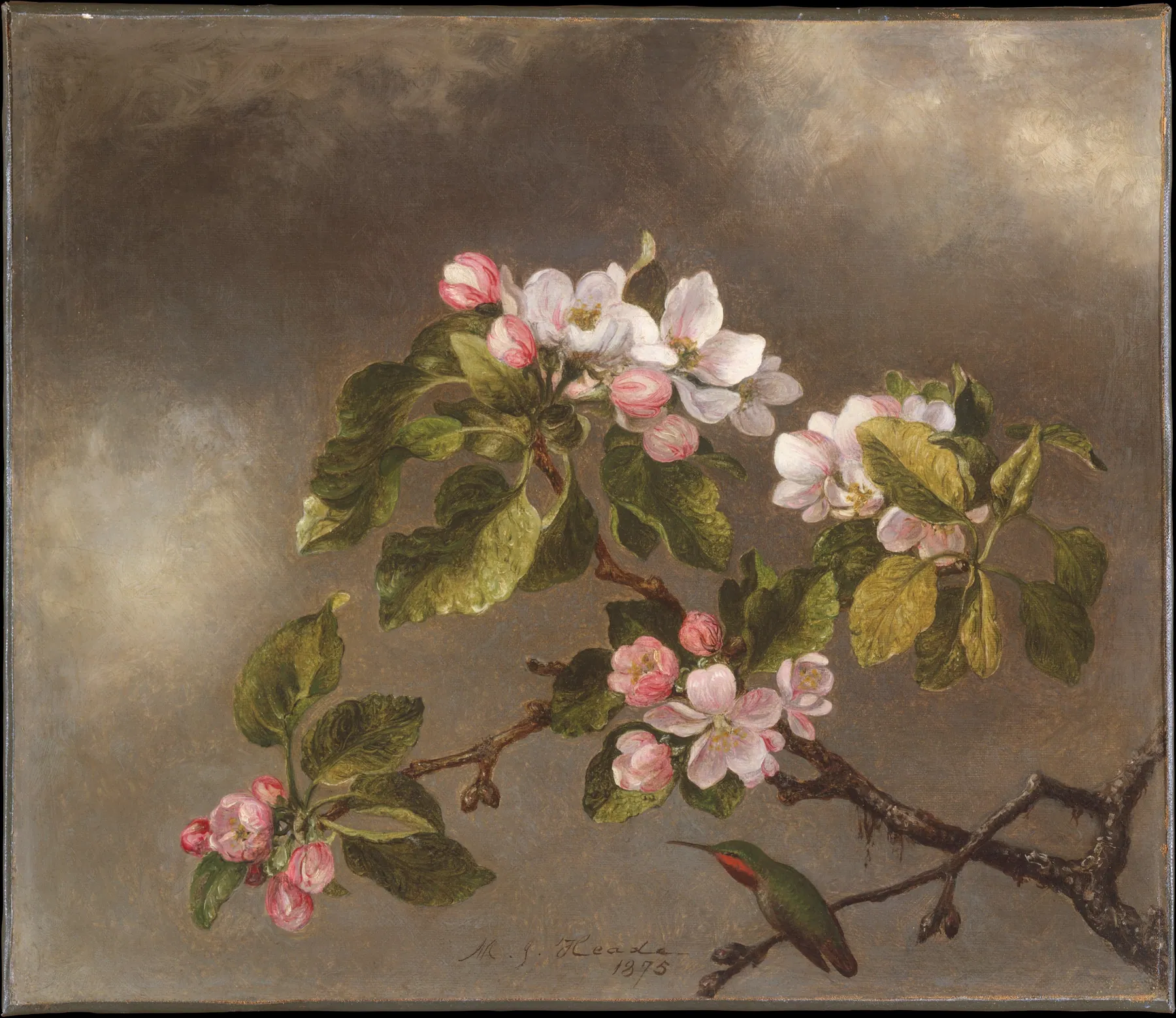 Colibrí y flores de manzano, de Martin Johnson Heade