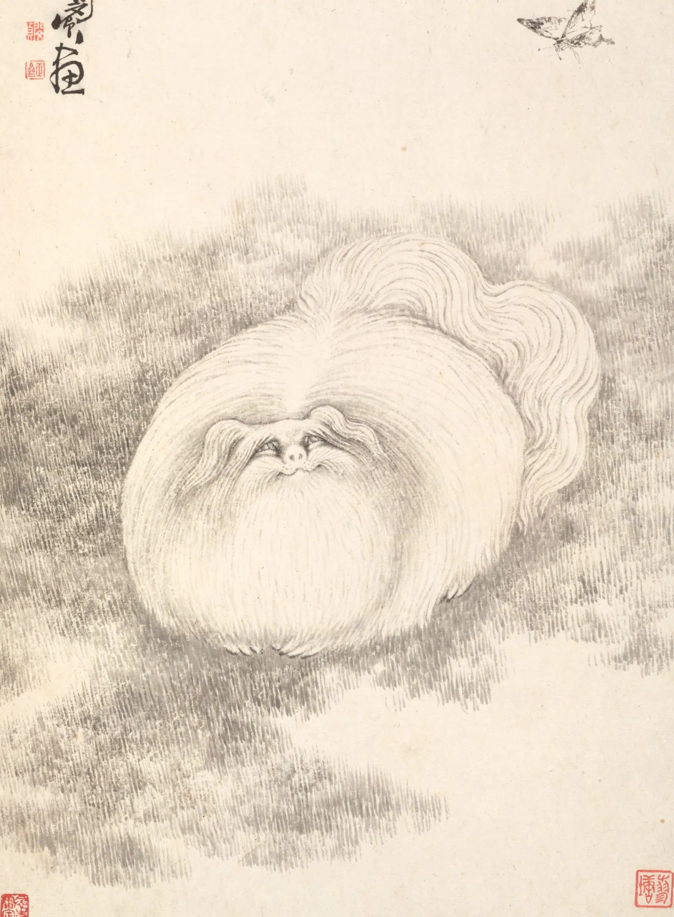 Gato y mariposa, de Min Zhen