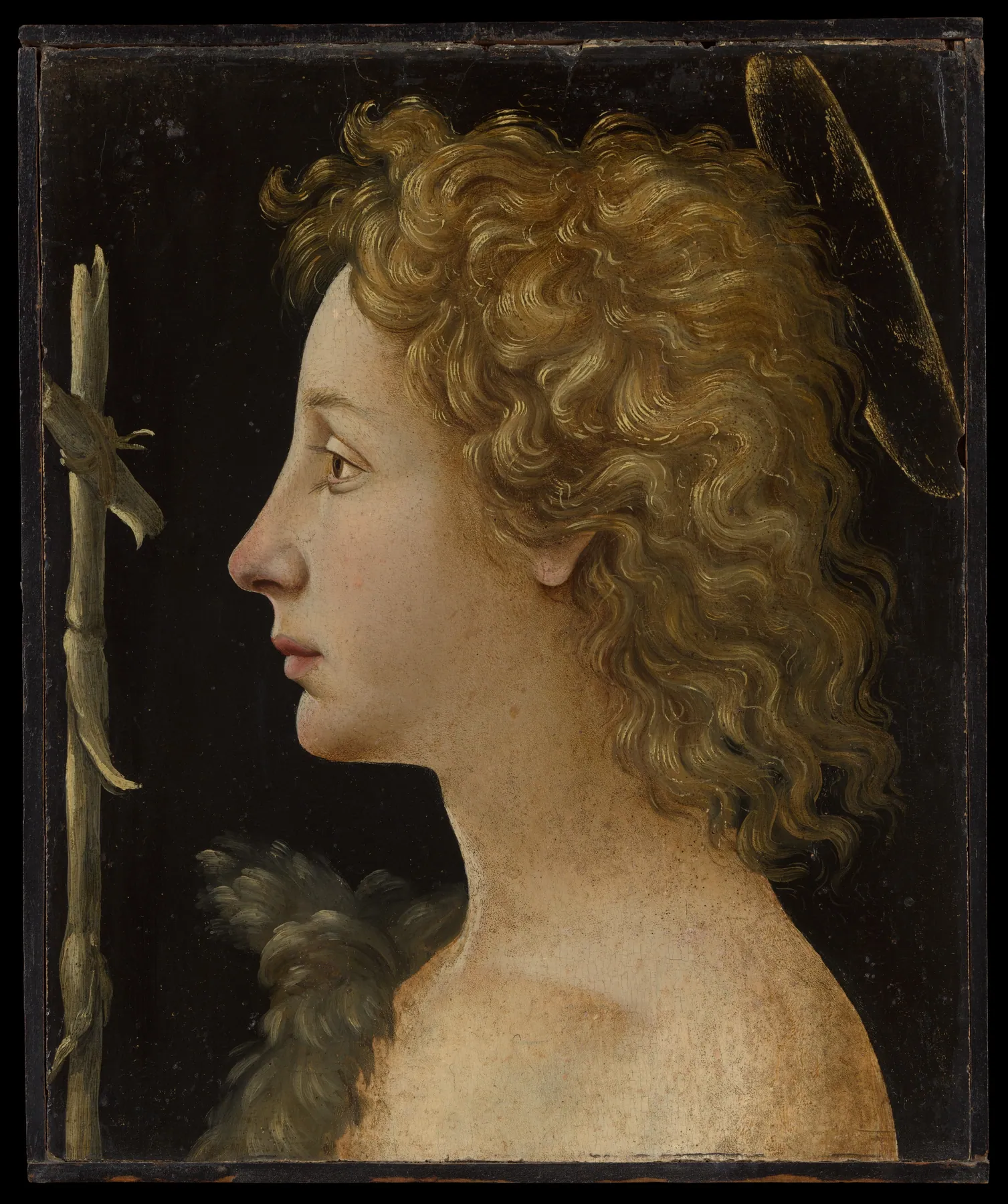 El joven San Juan Bautista, de Piero di Cosimo