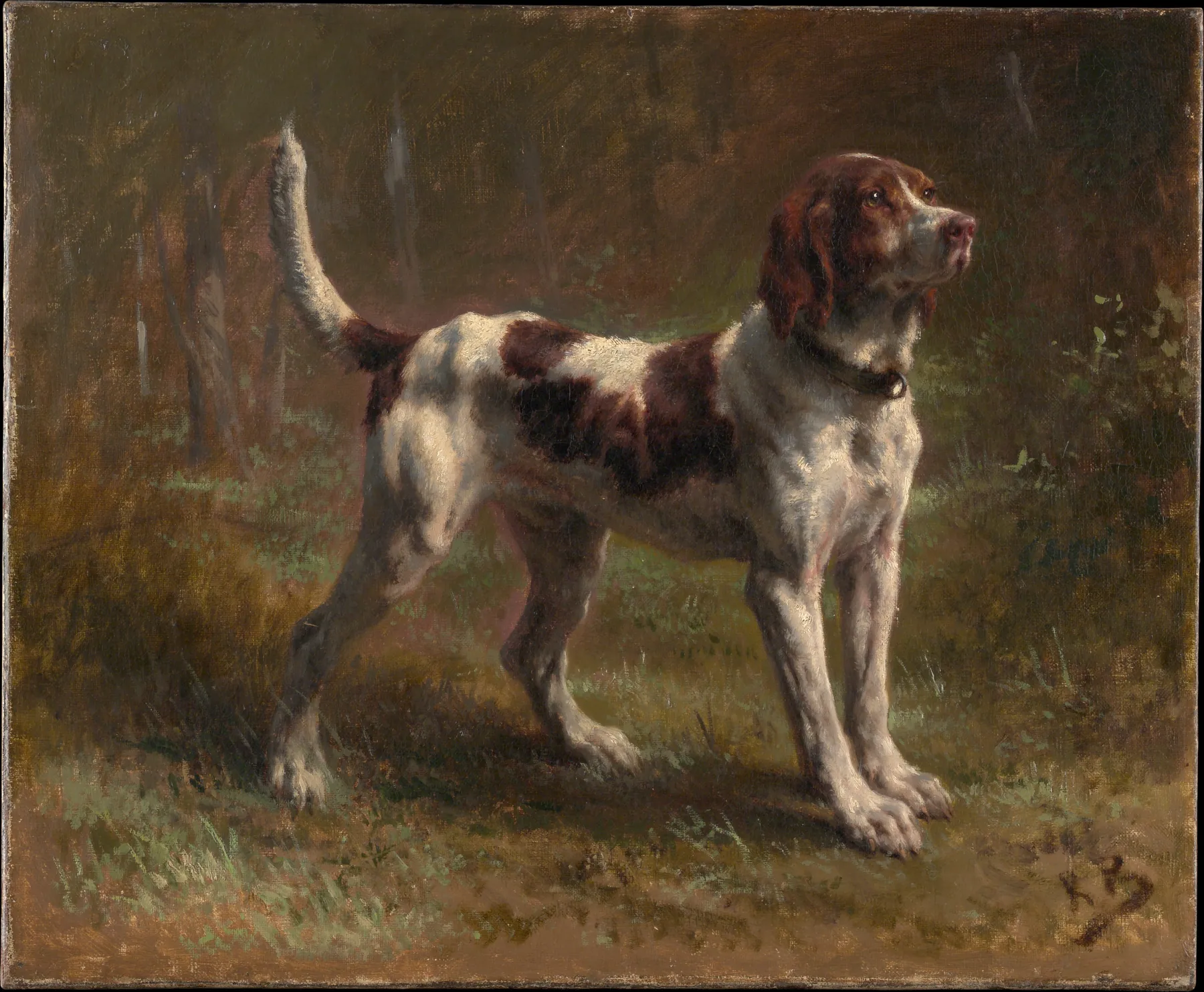Un sabueso limier briquet, de Rosa Bonheur