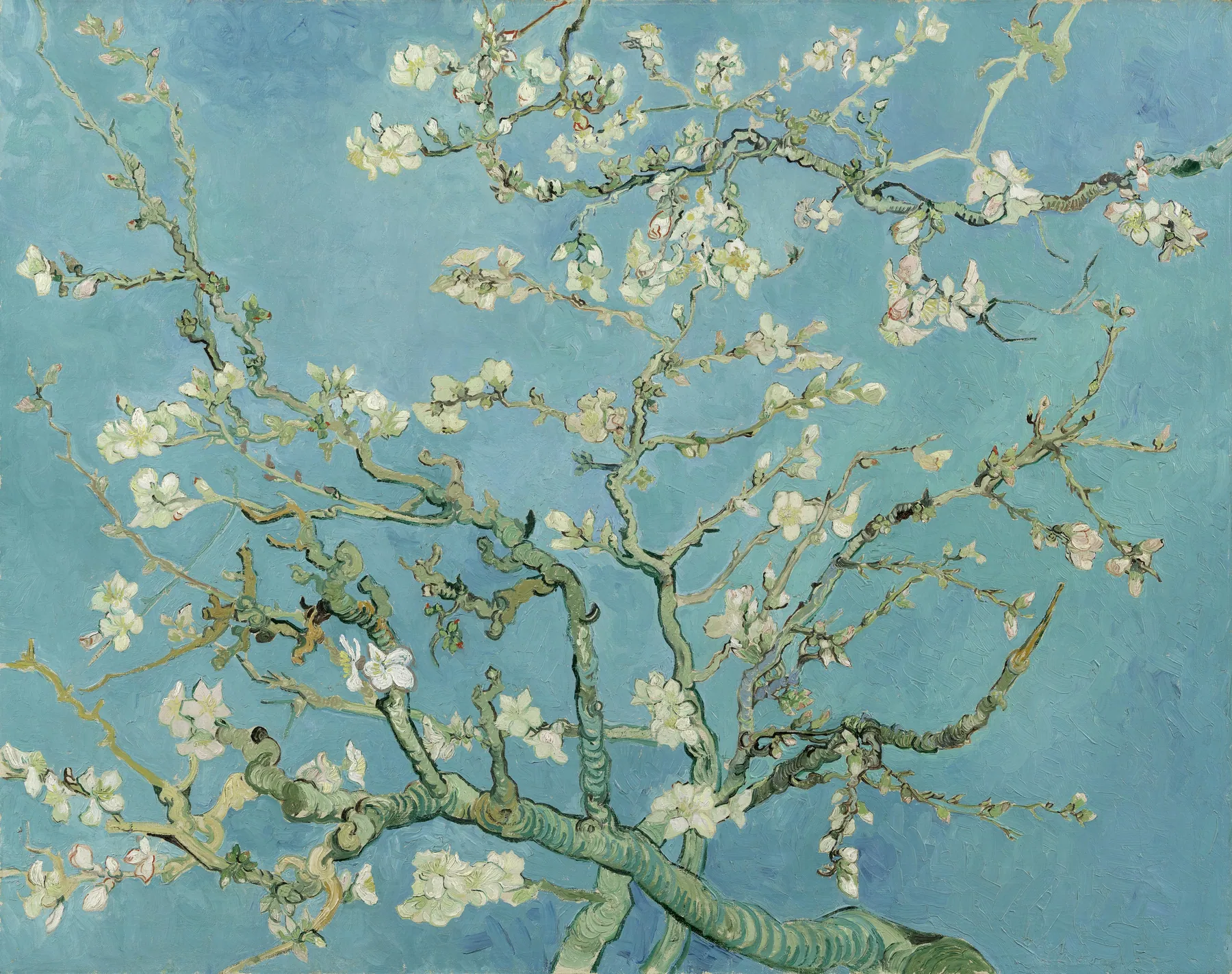 Almendro en flor, de Vincent van Gogh