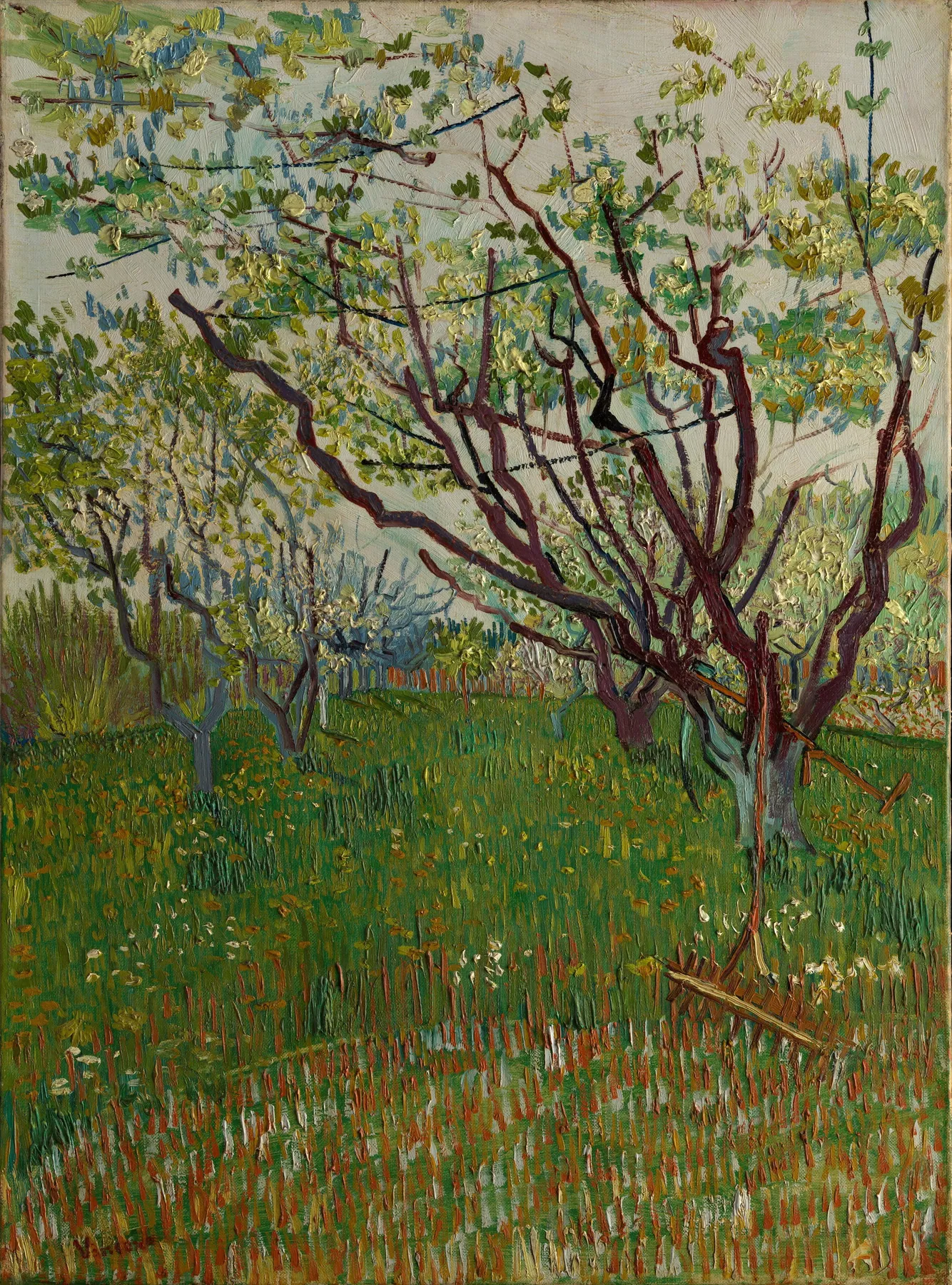 El huerto en flor, de Vincent van Gogh