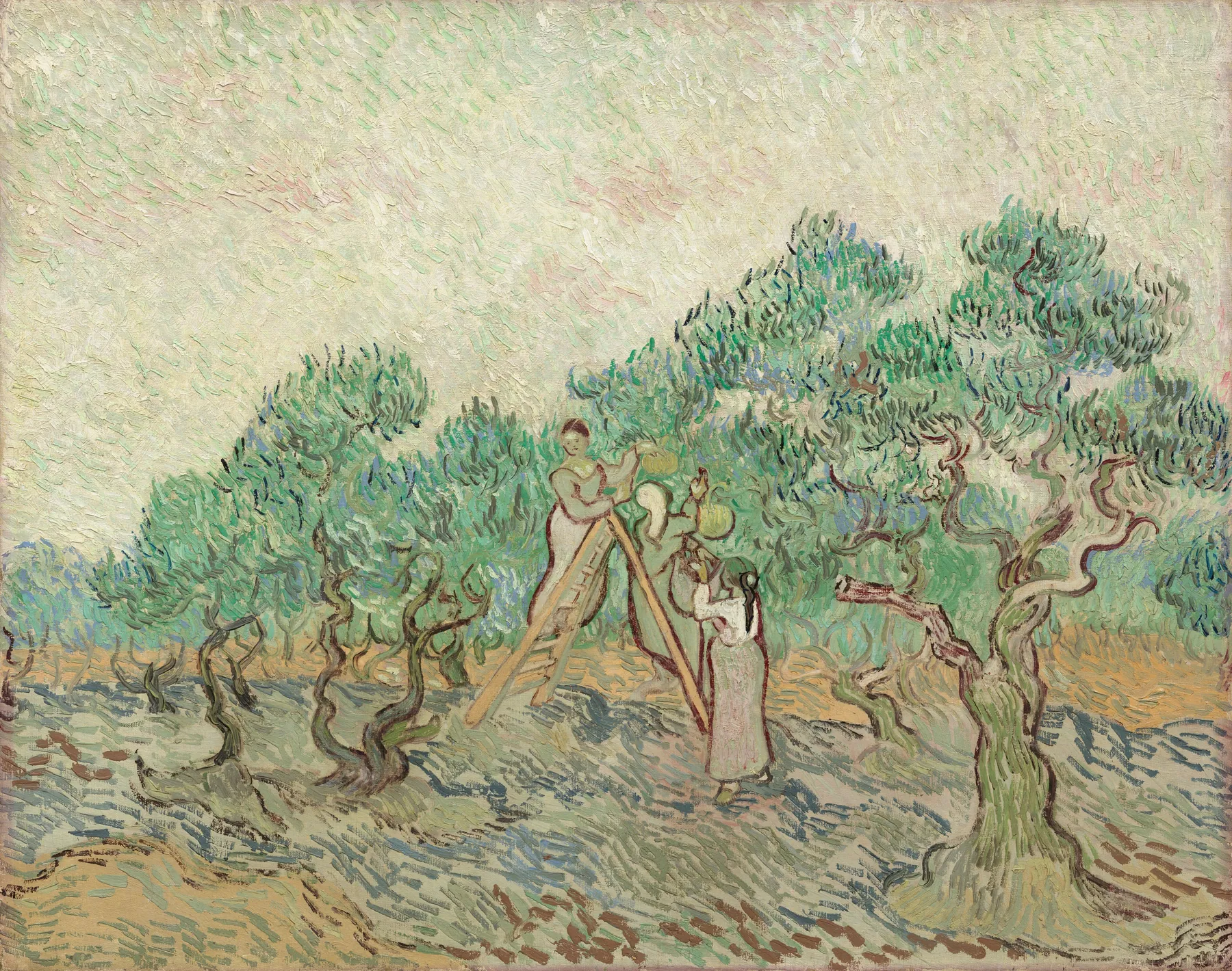 El olivar, de Vincent van Gogh
