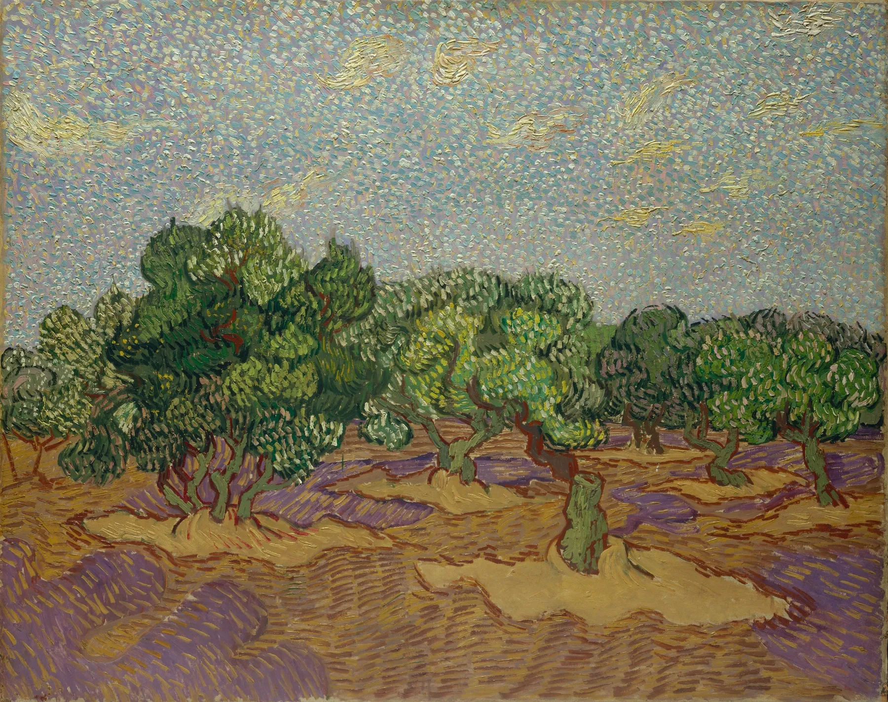 Olivos, de Vincent van Gogh