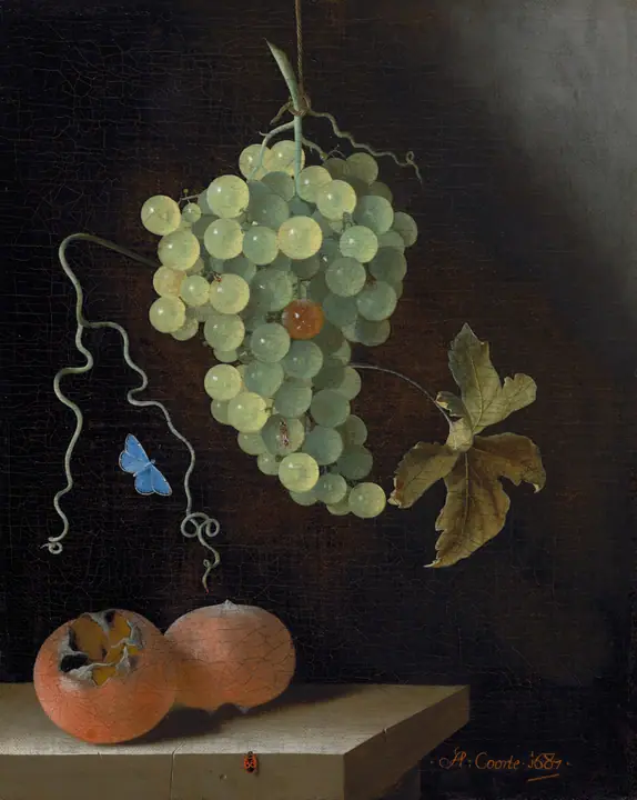 Bodegón con racimo de uvas colgado, dos nísperos y una mariposa, Adriaen Coorte