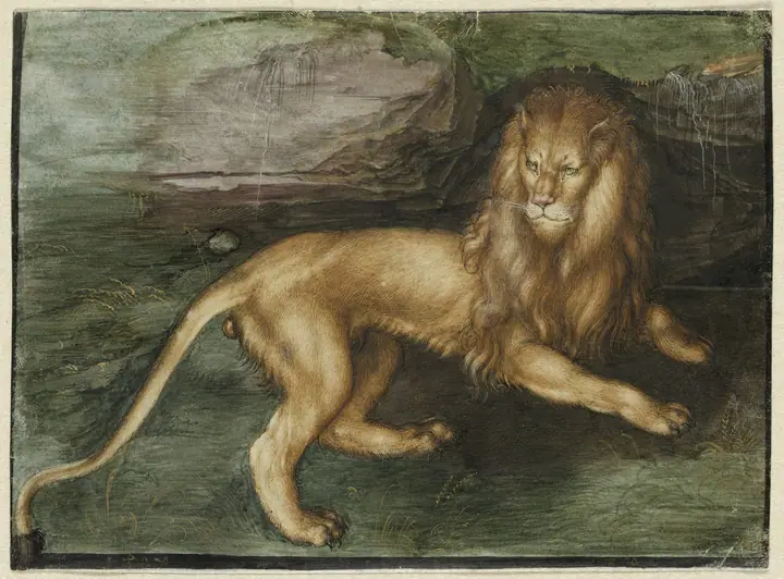 León de Venecia, Alberto Durero