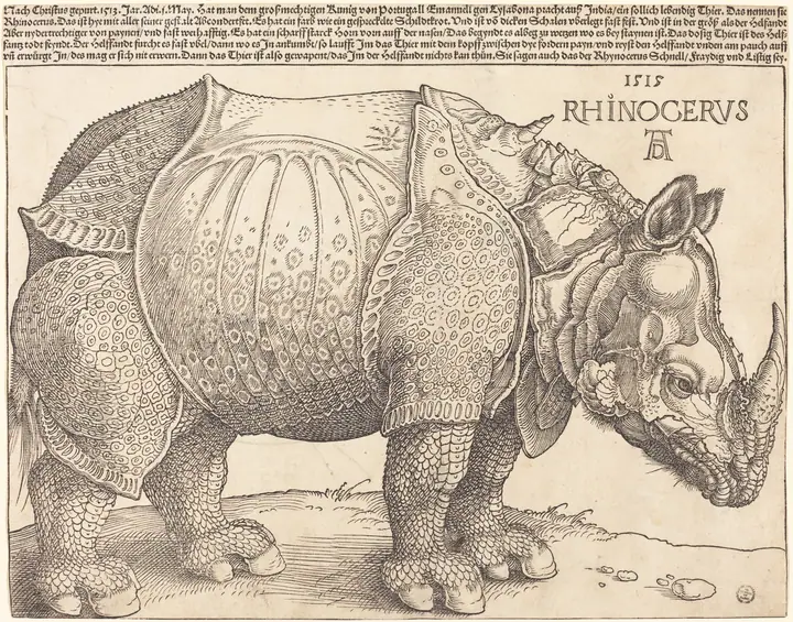 Rinoceronte, Alberto Durero