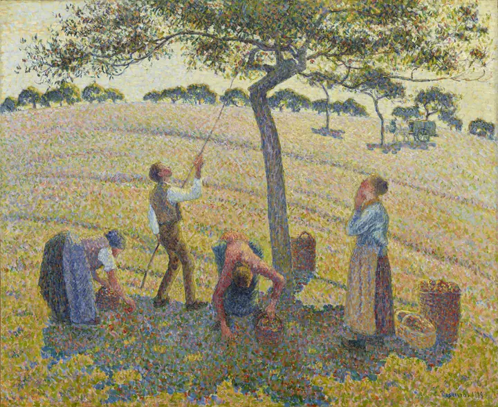 Cosecha de manzanas, Camille Pissarro