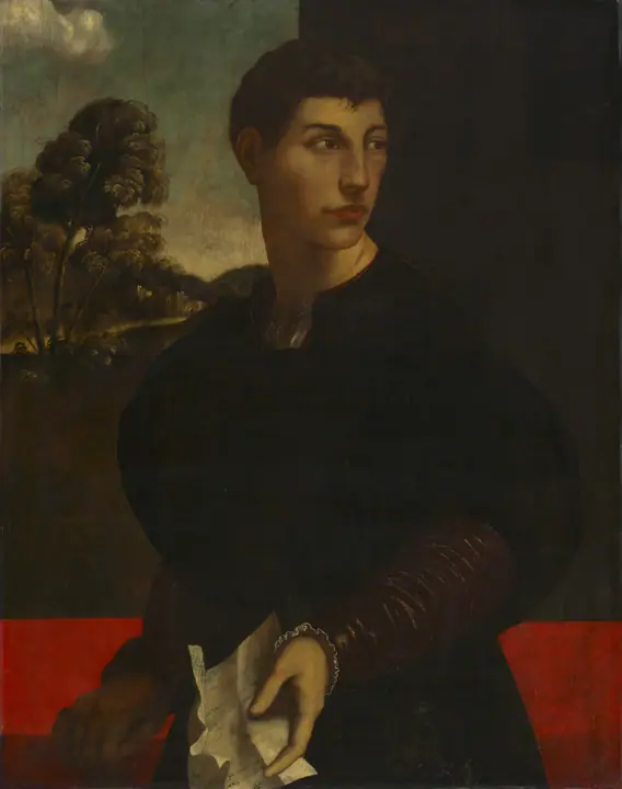 Retrato de un joven, Dosso Dossi