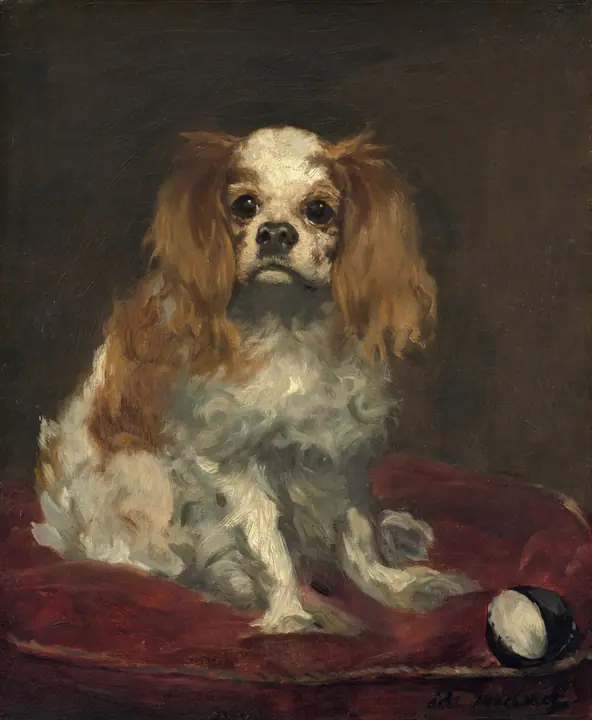 Un King Charles spaniel, Édouard Manet