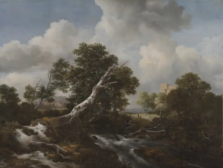 Pequeña cascada en un paisaje boscoso con una haya muerta, Jacob van Ruisdael