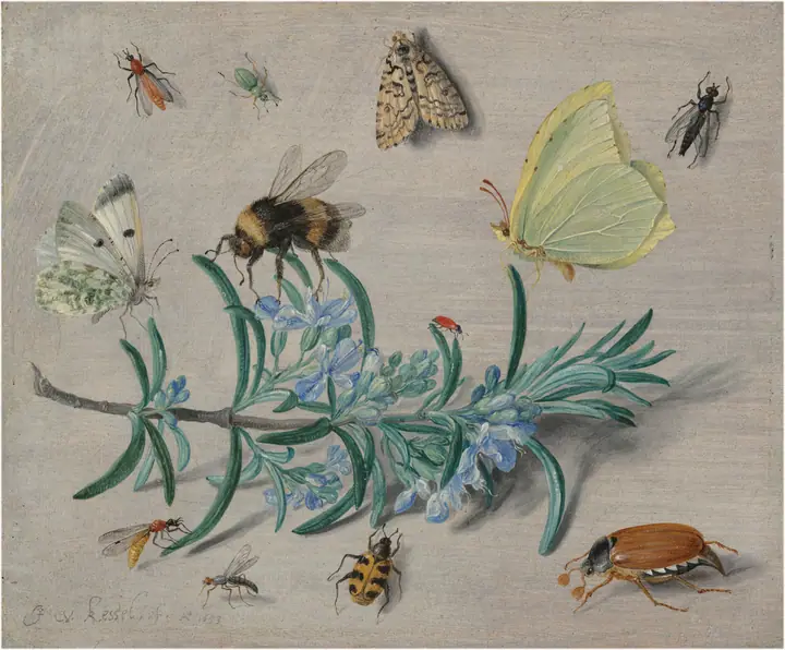 Insectos y una ramita de romero, Jan van Kessel el Viejo