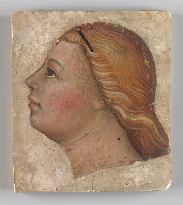 Cabeza de ángel de perfil izquierdo, Taddeo di Bartolo