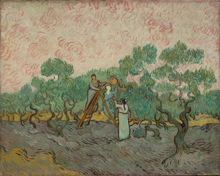 Mujeres recogiendo aceitunas, Vincent van Gogh